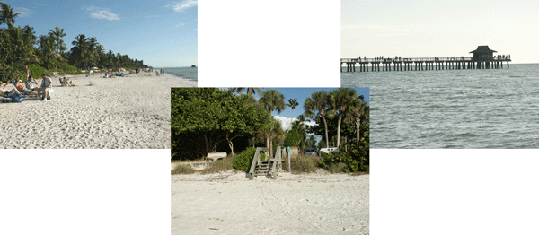 Vacation Condo For Rent In Naples Florida Vacation Condo For Rent In Naples Florida